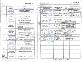 Carnets De Vaccination Etrangers